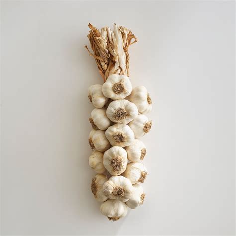 Garlic Braid - 16 Jumbo Bulb – McFadden Family Vineyard & Farm