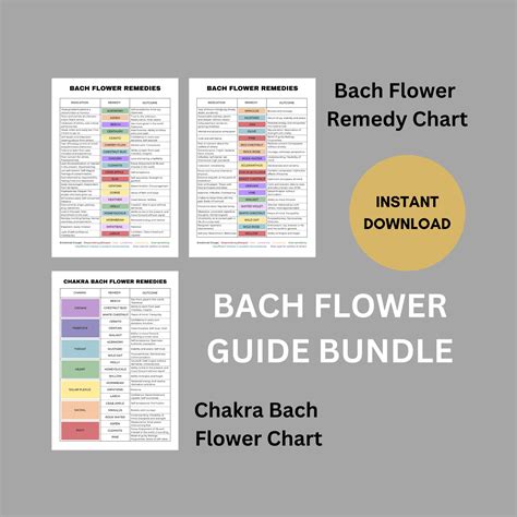 Bach Flower Bundle, Bach Flower Remedies Guide, Chakra Bach Flower ...