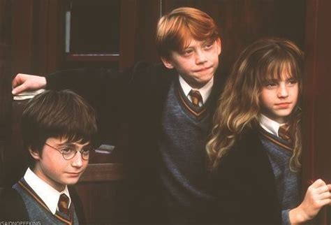 Harry Potter Ron Weasley And Hermione Granger Harry Potter Foto