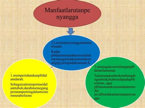 Usn Ulfa Rahayu Larutan Penyangga Ppt