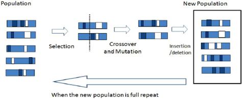 Schematic Outline Of The Operation Of A Genetic Algorithm T Soule