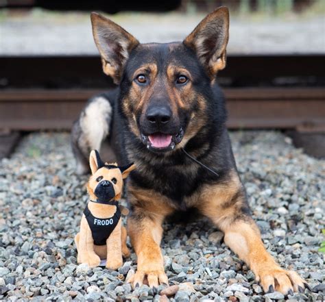 K9 Unit Seattle Police Foundation