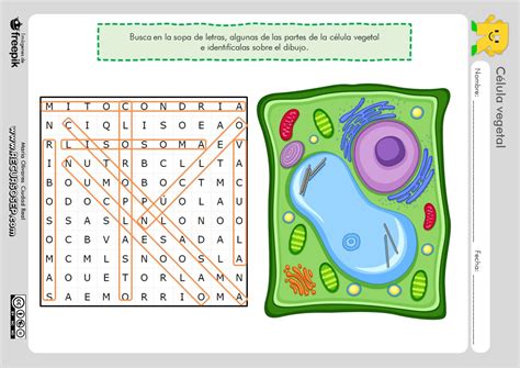 Sopa De Letras Vegetal