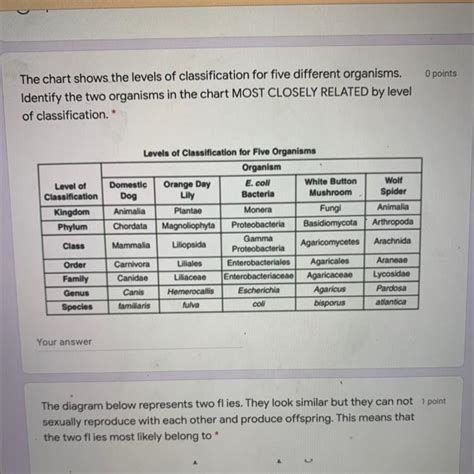 Identify The Two Organisms In The Chart Most Closely Related By Level