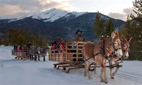 Colorado Sleigh Rides | Two Below Zero, Breckenridge & Frisco, CO