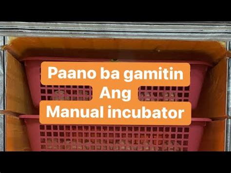 Paano Gamitin Ang Manual Incubator YouTube