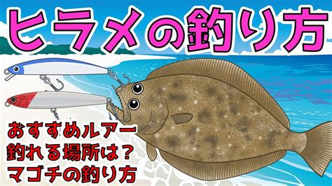 【ルアーでヒラメを釣る方法】マゴチが釣れたら釣り方が違うかも⁉ Youtube