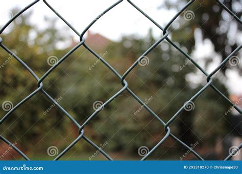 Green Chain Link Fence Up Close Blurred Background Stock Photo - Image ...