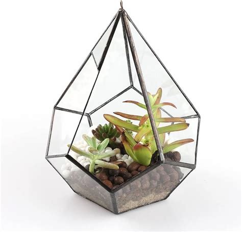 Pyramid Terrarium Planter Black Finished At Rs 350 Piece Terrariums In Moradabad Id