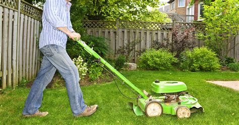 The Importance Of Proper Dallas Lawn Care Services