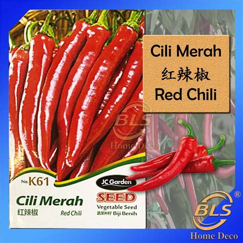 K61 RED CHILI JC GARDEN VEGETABLE SEED BIJI BENIH CILI MERAH 红辣椒种子