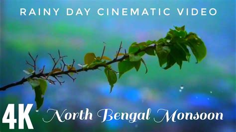 North Bengal Rainy Day Monsoon Cinematic Video Rainy Cinematic