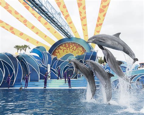 SeaWorld Orlando to Debut Dolphin Days Show - Recommend