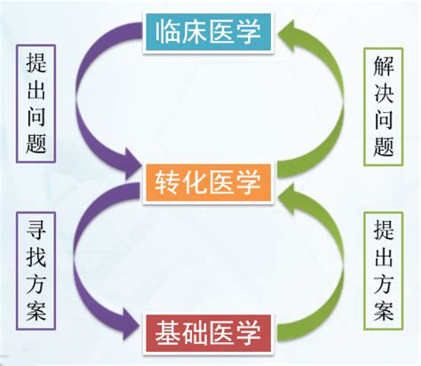 普略医学技术有限公司