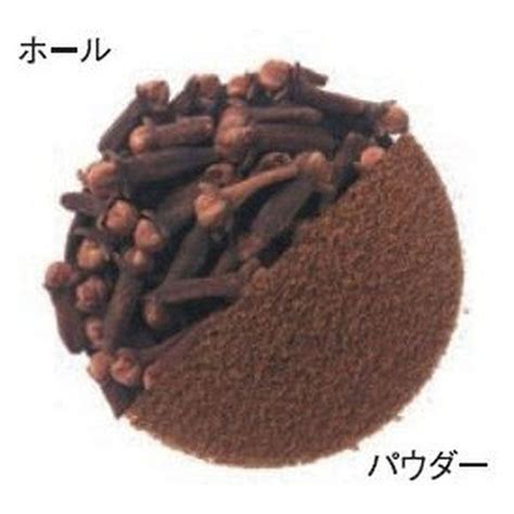 【アスクル】 Gaban クローブス ホール （袋） 100g 【スパイス ハウス食品 香辛料 粒 シード 業務用 Clove 丁字】 （直送