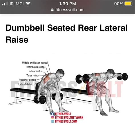 Dumbel Seated Rear Lateral Raises By Sandra Saidi Exercise How To