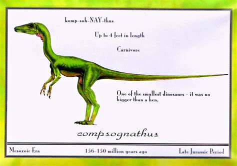 Tlw Compy Jurassic Pedia