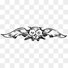 Harry Potter Owl Drawing Transparent Cartoons Harry Potter Hedwig