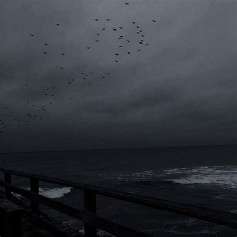 A Flock Of Birds Flying Over The Ocean On A Cloudy Day With Dark Clouds