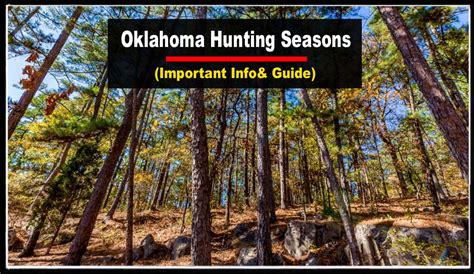 Oklahoma Deer Seasons 2024 Laure Morissa