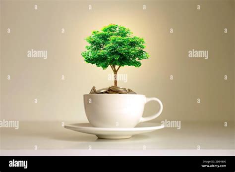 A Tree Growing On A Pile Of Coins In A White Coffee Cup Financial