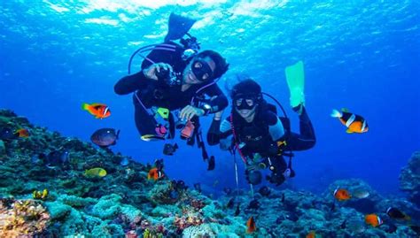 Visiting Snorkeling 3 Popular Island Phu Quoc - My Holiday Vietnam