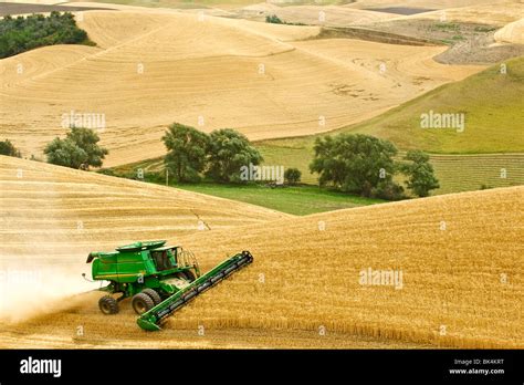 John Deere Combine Harvesting Wheat On Hilly Fields In The Palouse