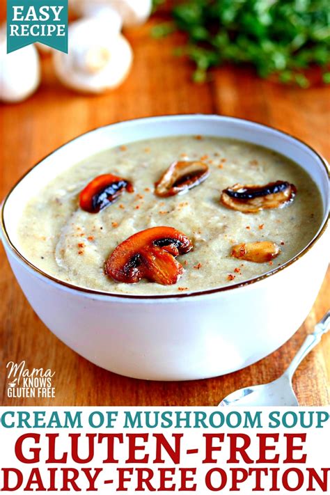 Gluten Free Cream Of Mushroom Soup Dairy Free And Vegan Option Mama