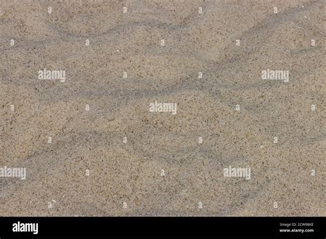 Sand from the beach Stock Photo - Alamy