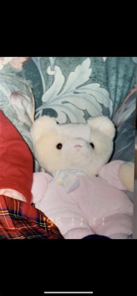 Please Help Me Find My Brothers Teddy Bear A Lookalike Would Be Nice