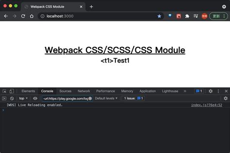 Webpack CSS To Sass Scss And CSS Module