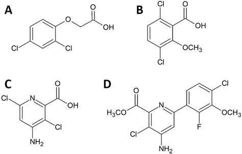 Structures Of Common Synthetic Auxin Herbicides 2 4 D Phenoxy Acetic