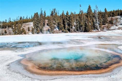 Visiting Yellowstone In May: Is It A Good Time?