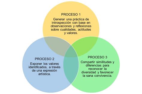 Red Magisterial El Rbol De Cualidades Actitudes Y Valores