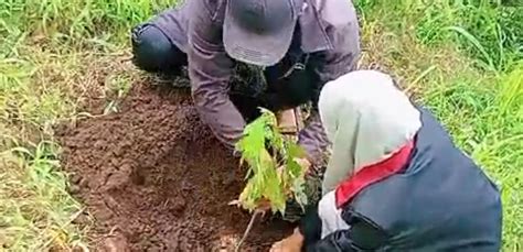 Lestarikan Sumber Mata Air Mahasiswa PMM UMM Lakukan Penghijauan Di