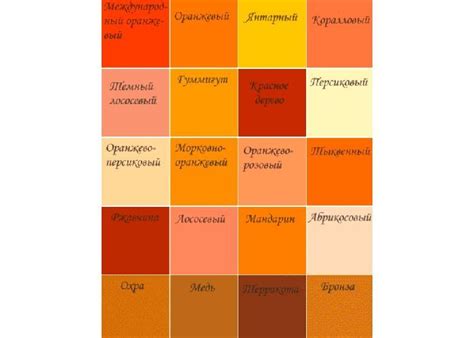 Терракотовый цвет: фото в интерьере разного назначения | Интерьер ...