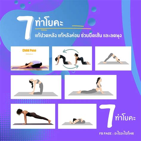 7 ท่าโยคะ แก้ปวดหลัง แก้หลังค่อม ช่วยยืดเส้น | แกลเลอรีที่โพสต์โดย อะไร ...