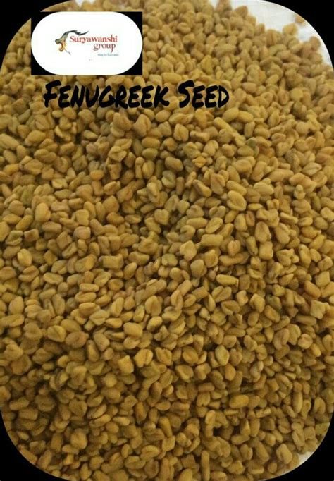 Fenugreek Seed At Rs 58 Kilogram Methi Dana In Surat ID 20827333688