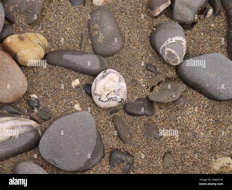 Crackington Haven, Cornwall, UK - June 29 2022: a map of Australia perceived on a pebble at ...