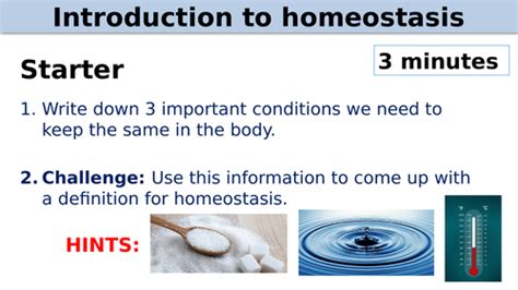 Gcse Introduction To Homeostasis Teaching Resources