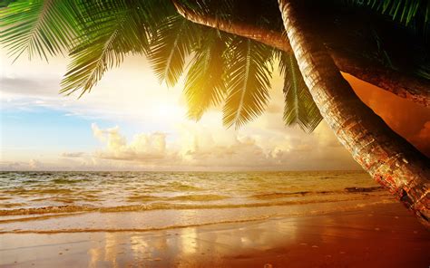 Beach Paradise Sunset Wallpapers - Top Free Beach Paradise Sunset Backgrounds - WallpaperAccess