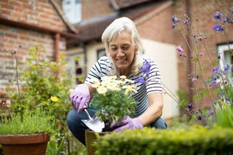 Slow gardening Låt trädgården växa fram långsamt