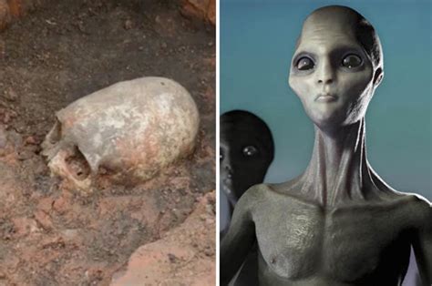 Skeleton With Extra Long Skull Sparks Claims Aliens Once Visited Earth