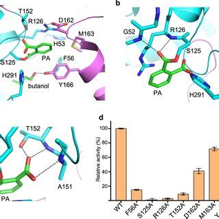 The Substrate Binding Pocket Of Mehph A Residues Involved In The Active