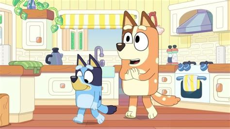 Us Cartoon Chip Chilla Accused Of Being A Direct Rip Off Of Bluey