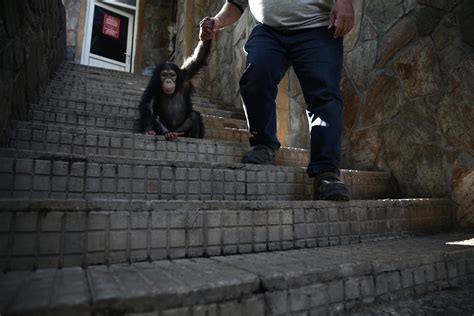 Gaziantep Zoo attracts interest with new additions