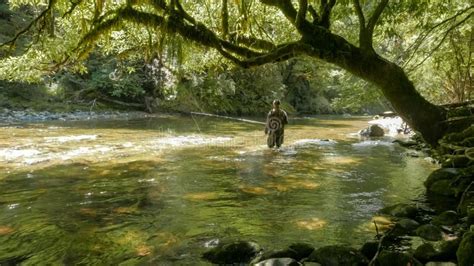 Tiro Del Ngulo Bajo De Un Pescador De La Mosca Que Engancha Una Trucha