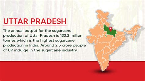 Sugarcane Production In India Largest Producing States