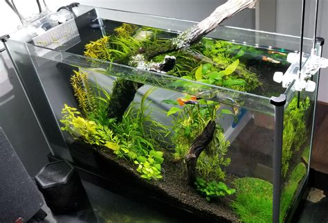 FTS Pimped Fluval Spec V With Pawfly LED R PlantedTank