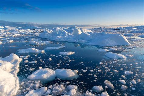 Обычной губкой можно очистить арктические воды от нефтепродуктов ...